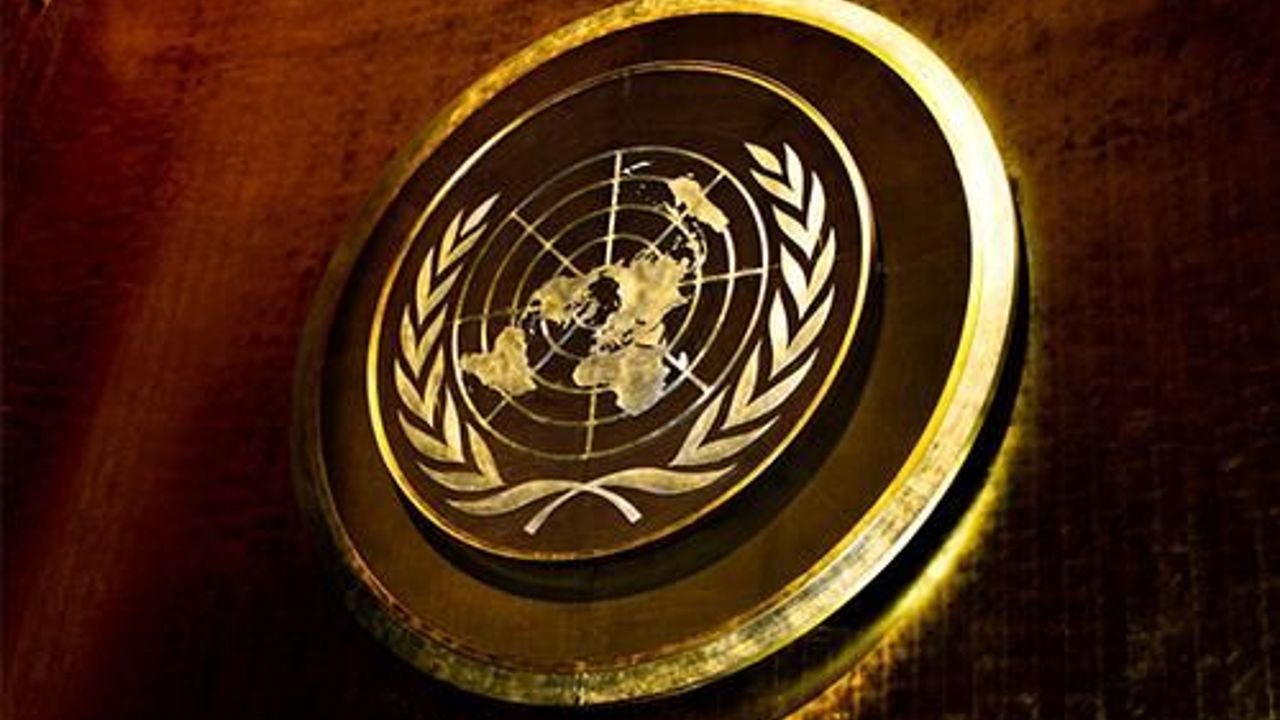 Turkey wants more &quot;politically active&quot; United Nations