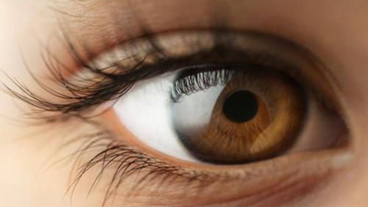 Implantable eye devices that improve vision