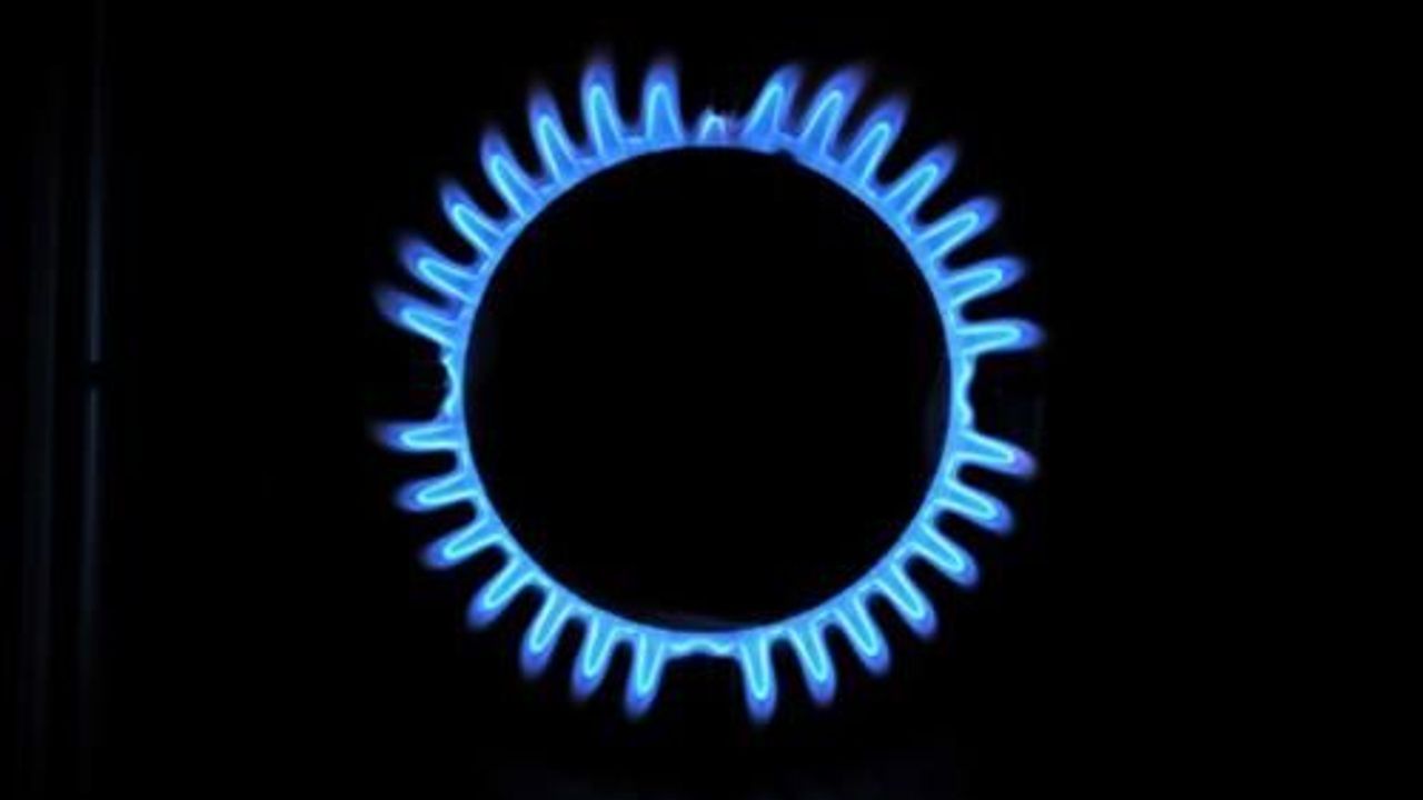 Turkey makes loss from natural gas this year 