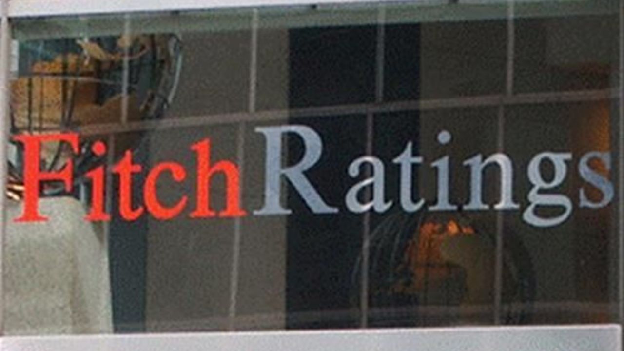 &quot;Interest rate cut would be a premature reversal,&quot; says Fitch director