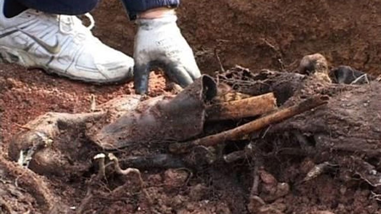 Mass migrant grave found in Malaysia