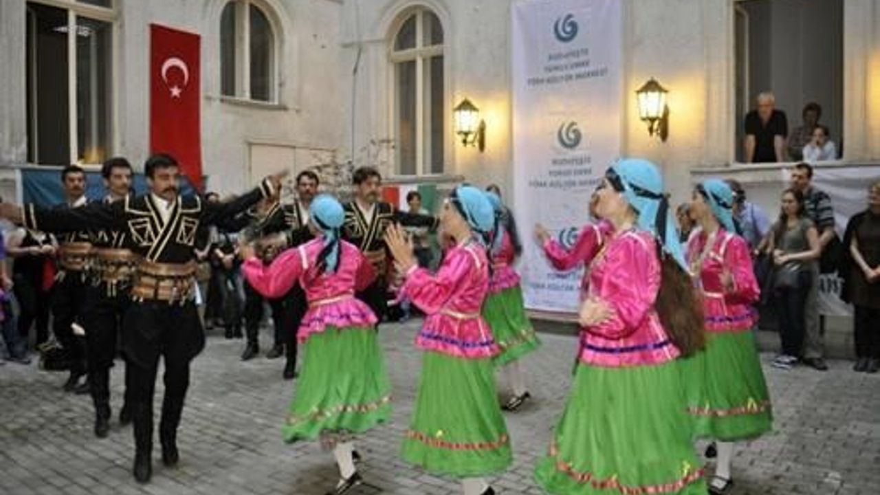 Yunus Emre Institute to hold &#039;Turkish festival&#039; in Istanbul