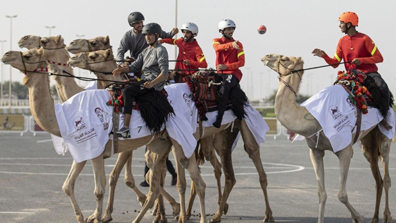 People play handball on camels in Qatar