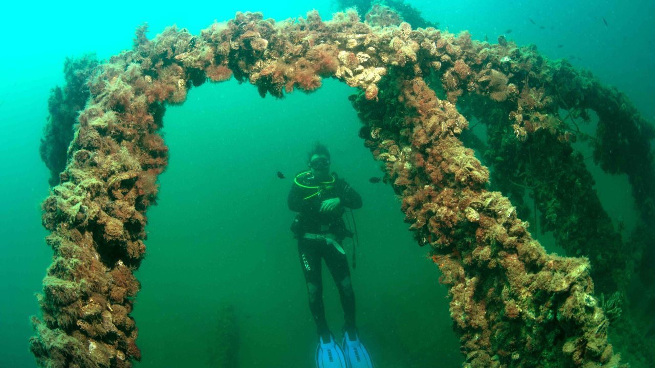 War wrecks draw diving enthusiasts to Gelibolu Underwater Park