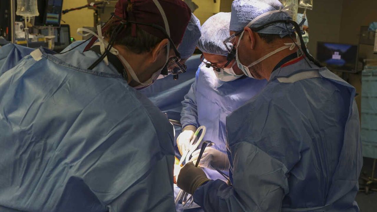 Genetically modified pig kidney successfully transplanted into living patient in US