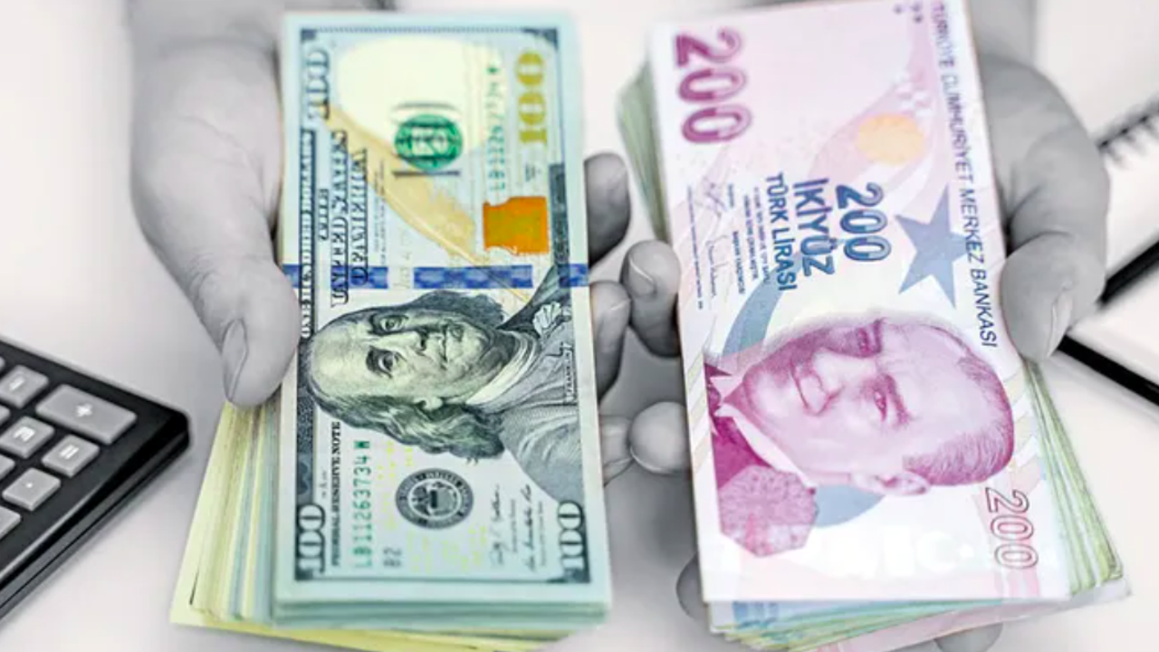 Turkish lira shows resilience as dollar stabilizes, economists predict upward trend
