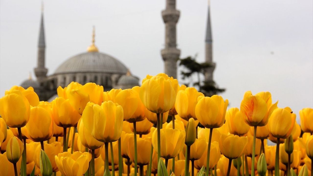 Istanbul welcomes Eid al-Fitr with art, tradition, tulip-filled parks