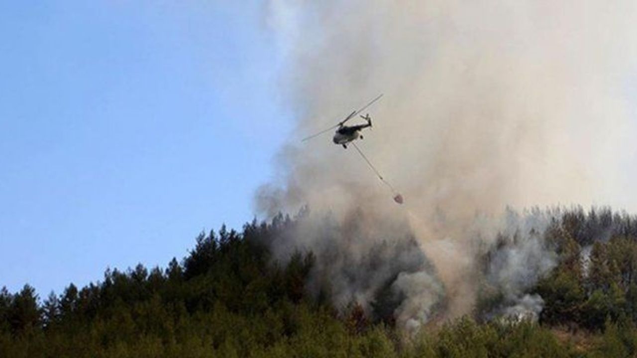 Wildfire under control in Turkey&#039;s Antalya