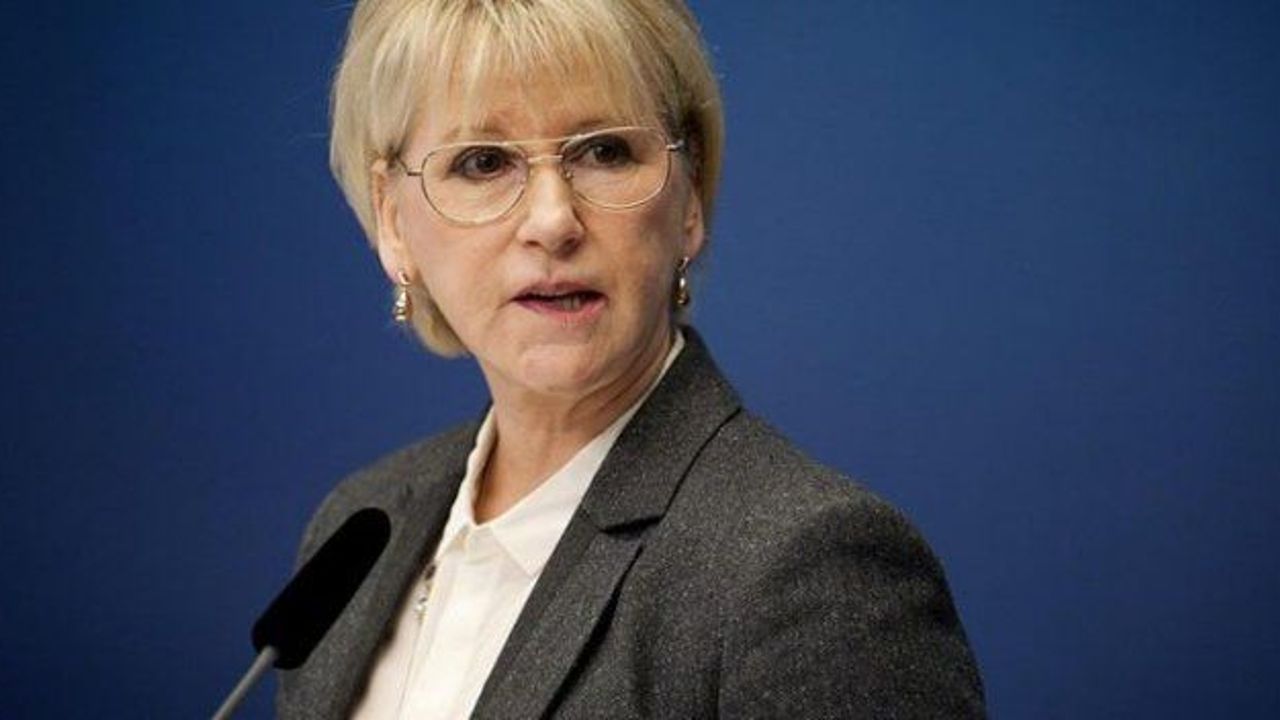 Turkey lashes out at Swedish FM, Austria over ‘defamation’