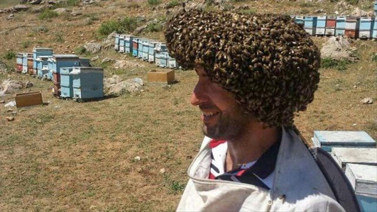 Turkish beekeeper seeks world record