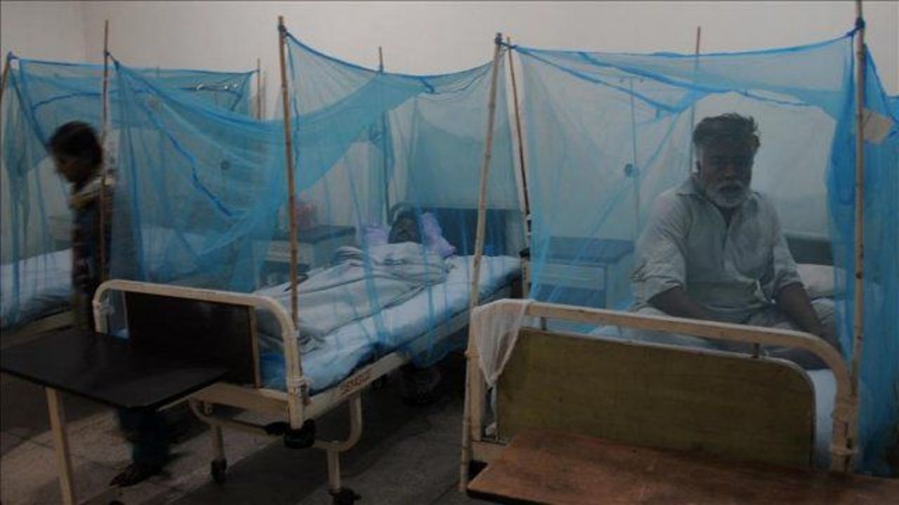 Deadly dengue fever outbreak in northern Pakistan