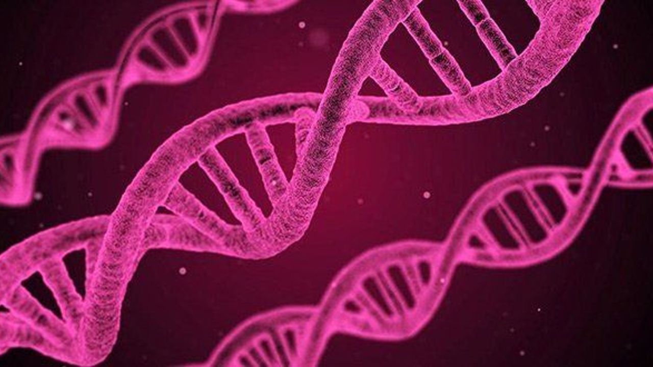 Turkish gene discovery hailed as top scientific find