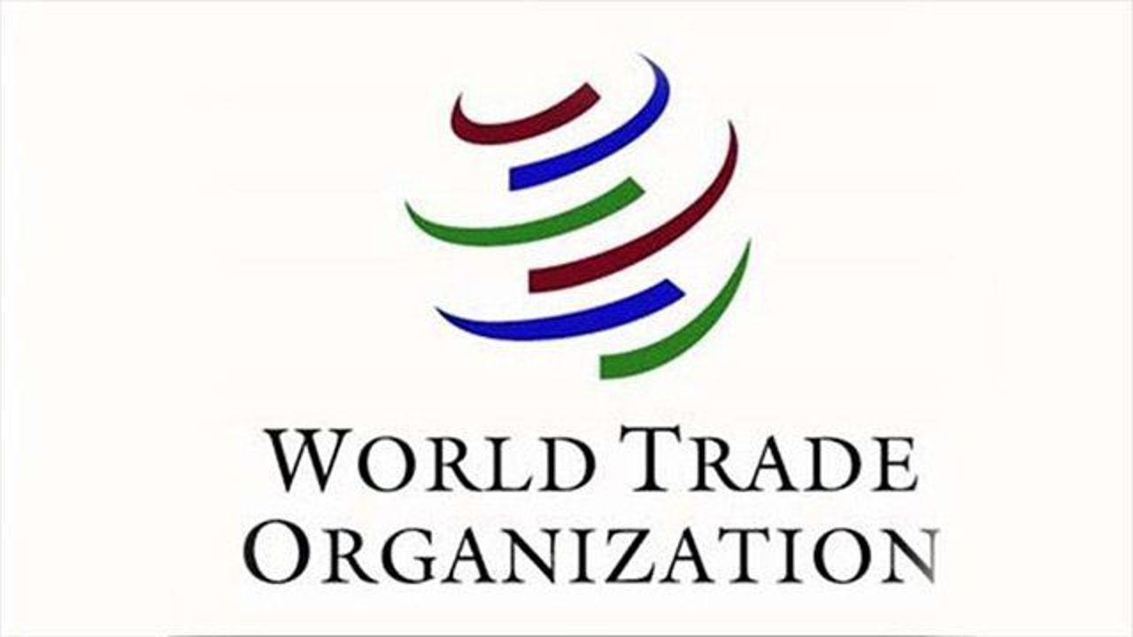 WTO recognizes Turkey&#039;s claims against US tariffs