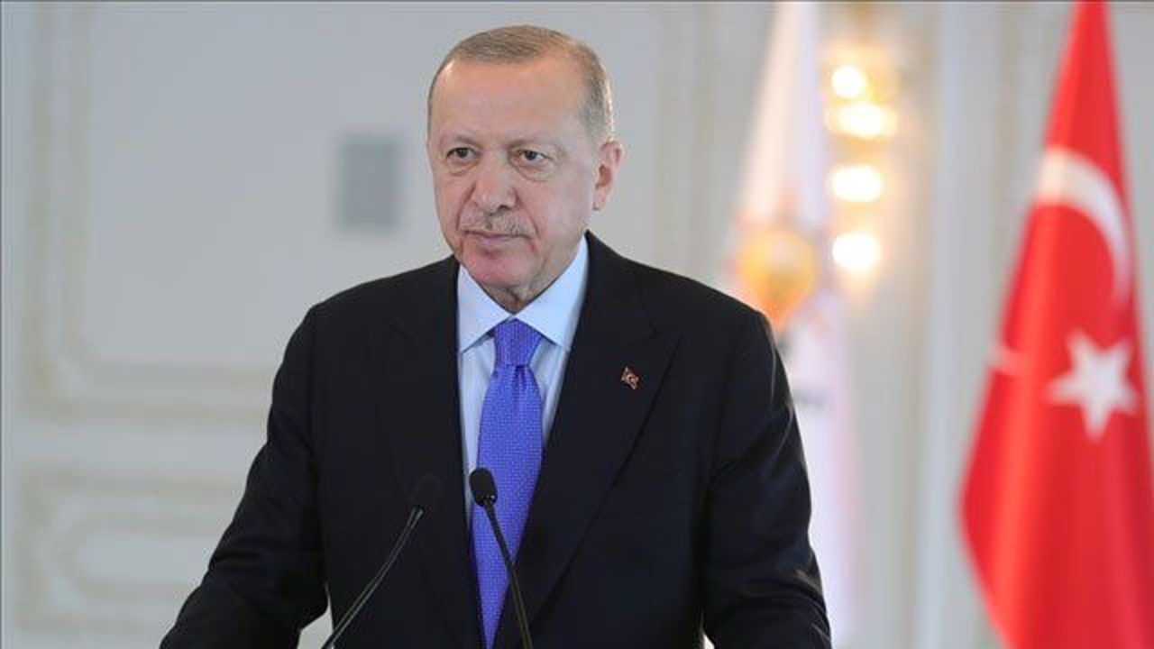Turkey activating its potential in various fields: Erdogan