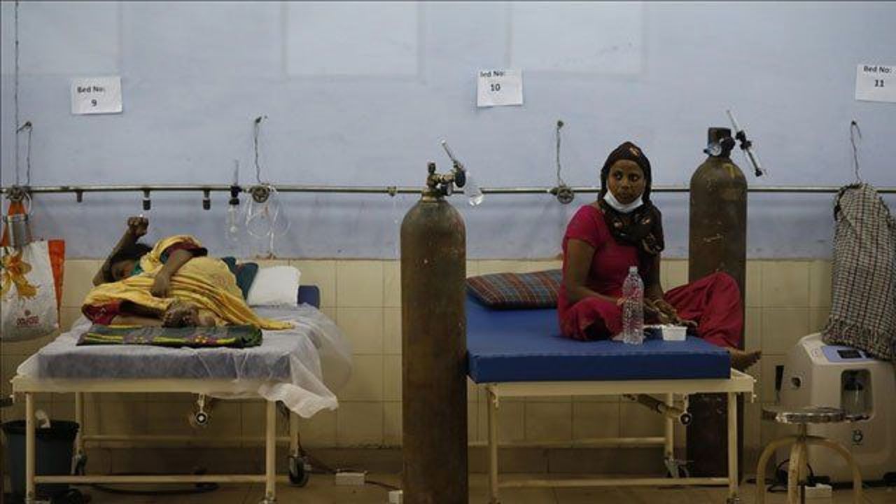 India reports highest single-day COVID-19 deaths