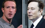 Zuckerberg, Musk's 'cage fight' to be broadcast live on X
