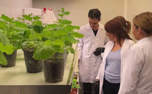 Turkish scientists to grow plants in space