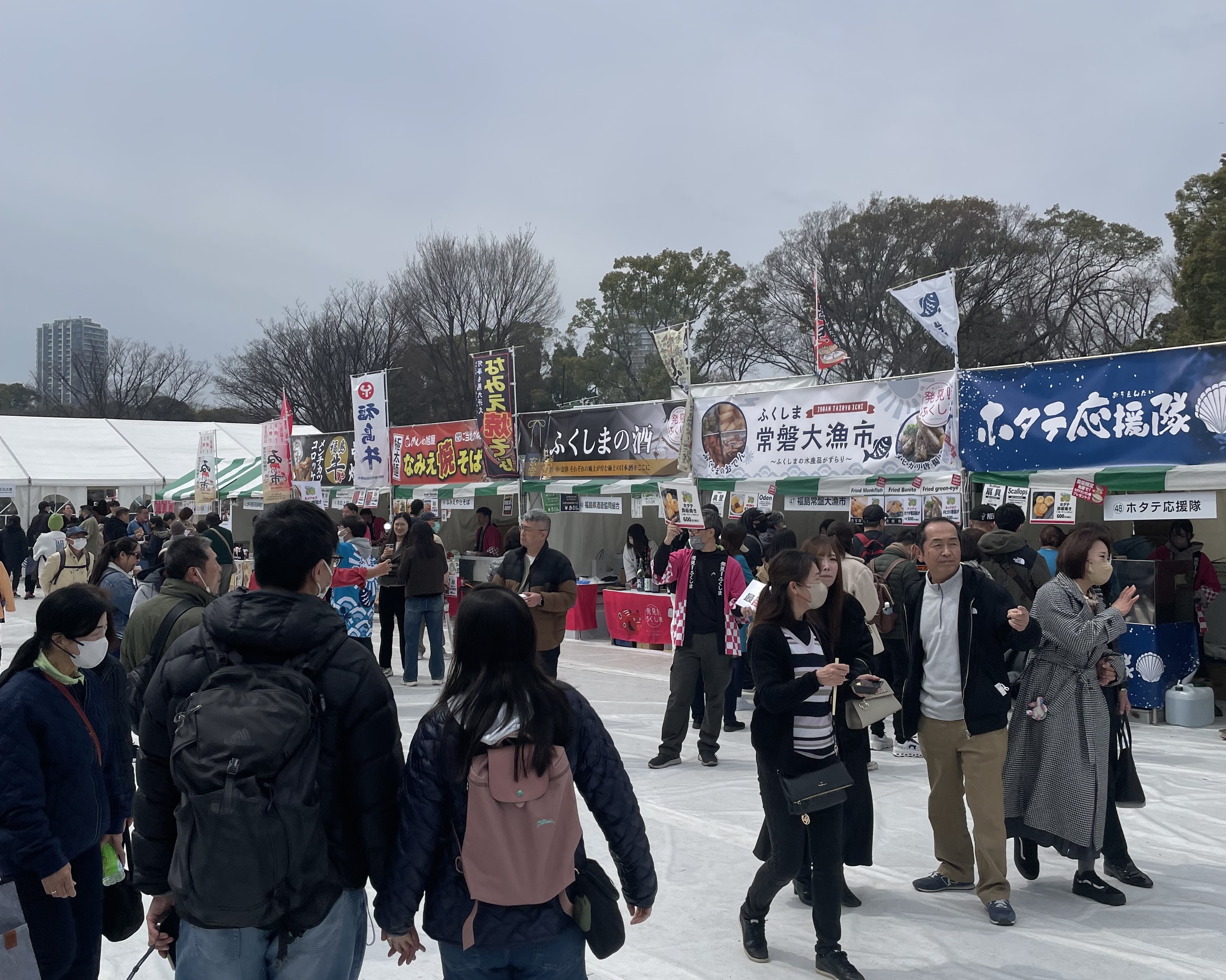 People flock to parks and temples as cherry blossoms bloom in Japan