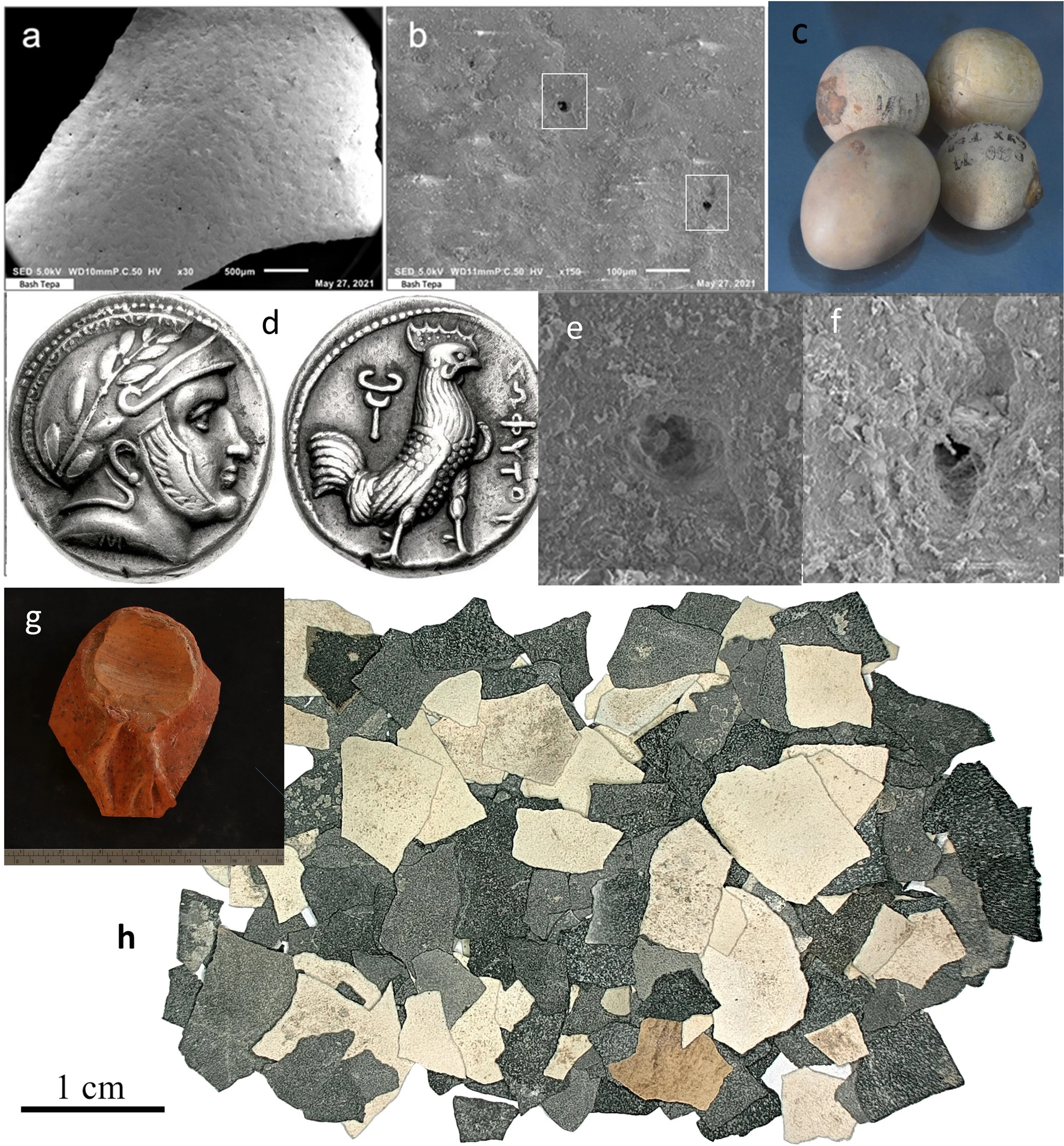 Scientists unearth oldest evidence for chicken egg production