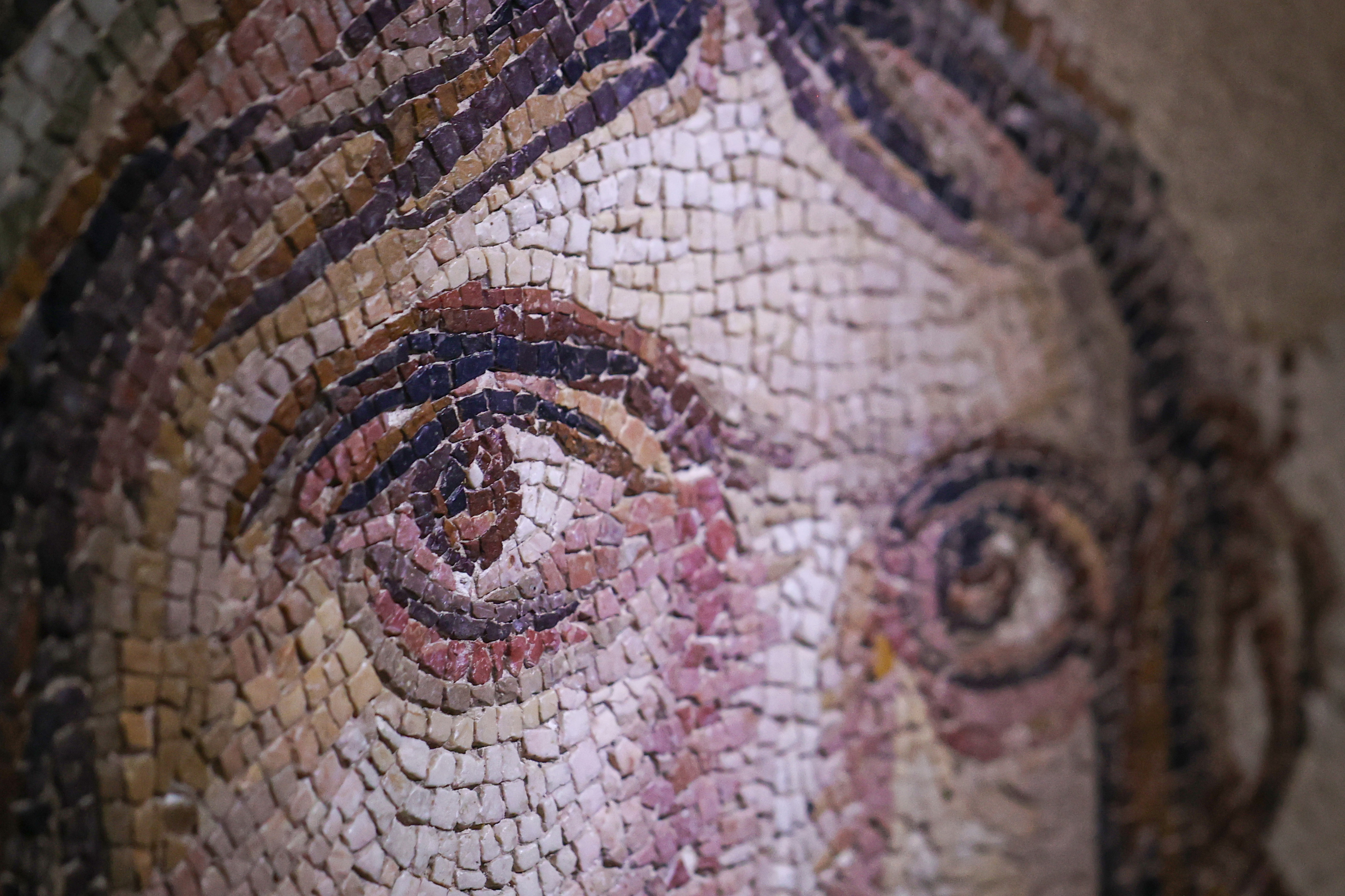 Zeugma Mosaic Museum's 'Gypsy Girl' breaks visitor record during the holiday