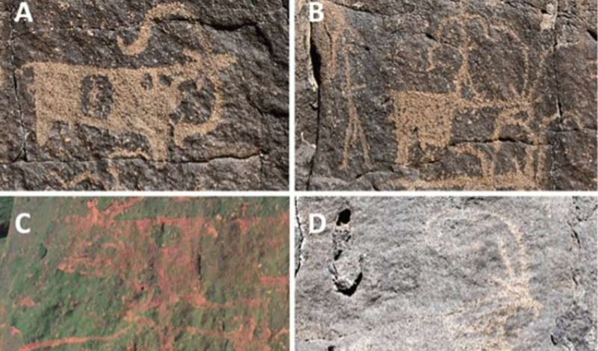 New archaeological finds illuminate ancient human life in Saudi Arabia's lava tubes