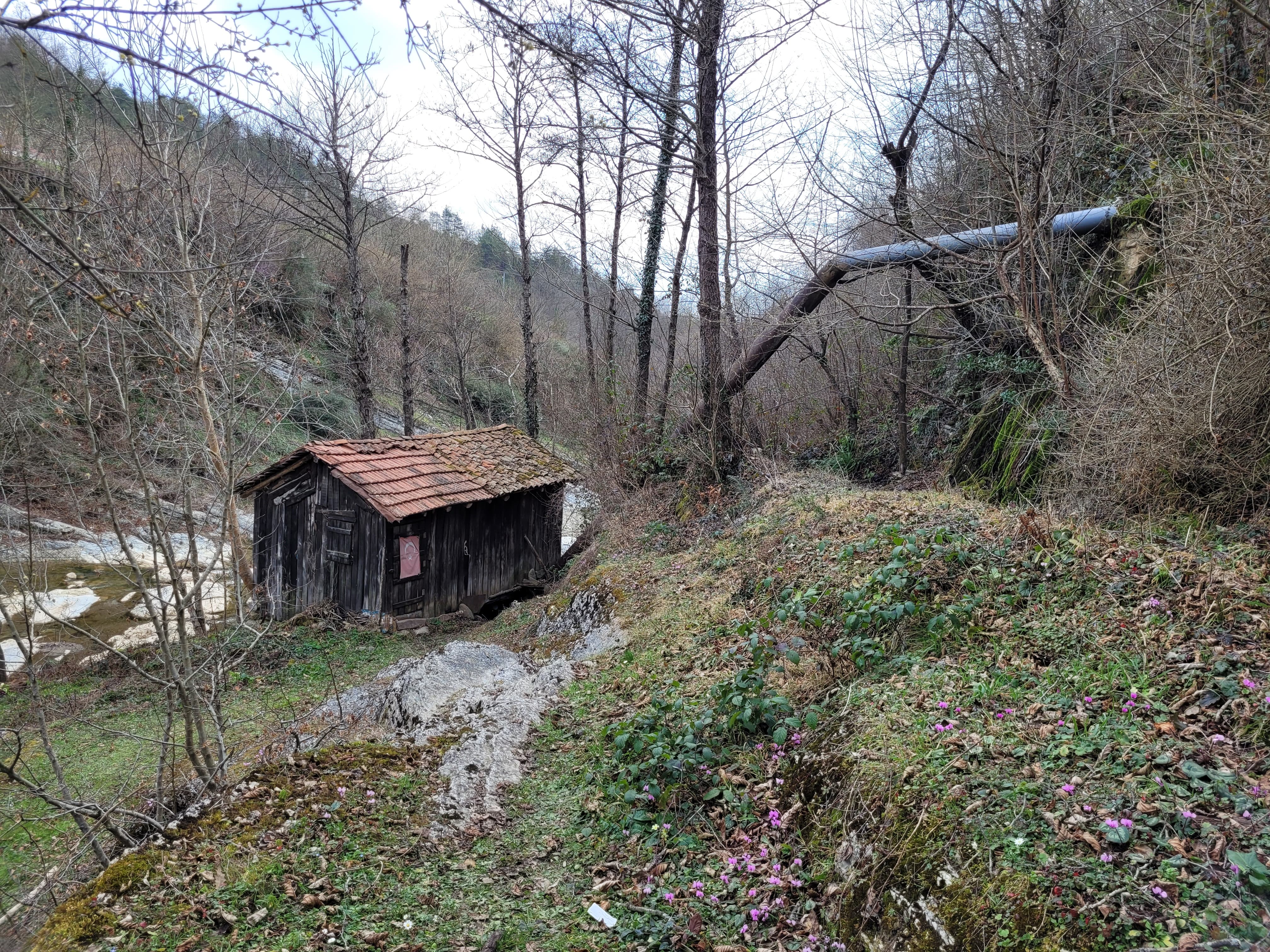 200-year-old watermill in Samsun, Türkiye, still in operation