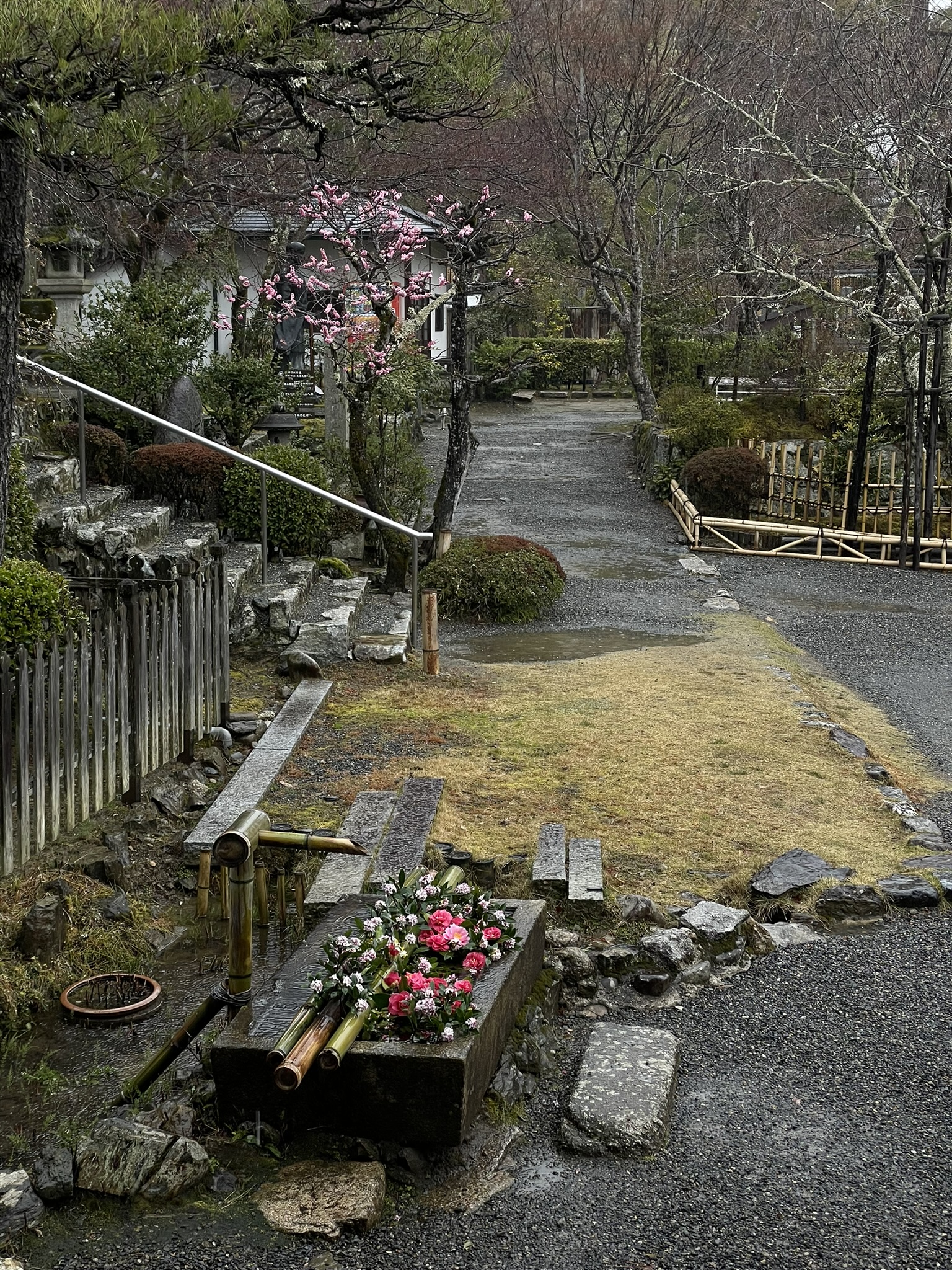 From editor's perspective: Japan's Arashiyama Bamboo Forest and enigmatic Otagi Nenbutsu-ji Temple