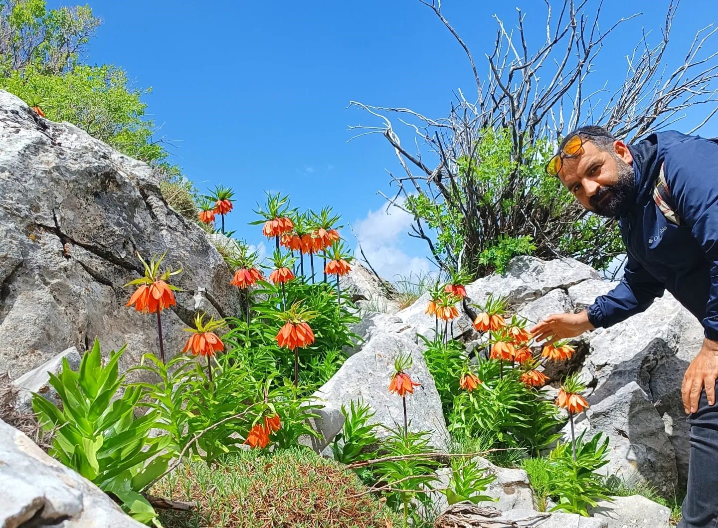 Penalty for plucking these two flowers in Türkiye is high