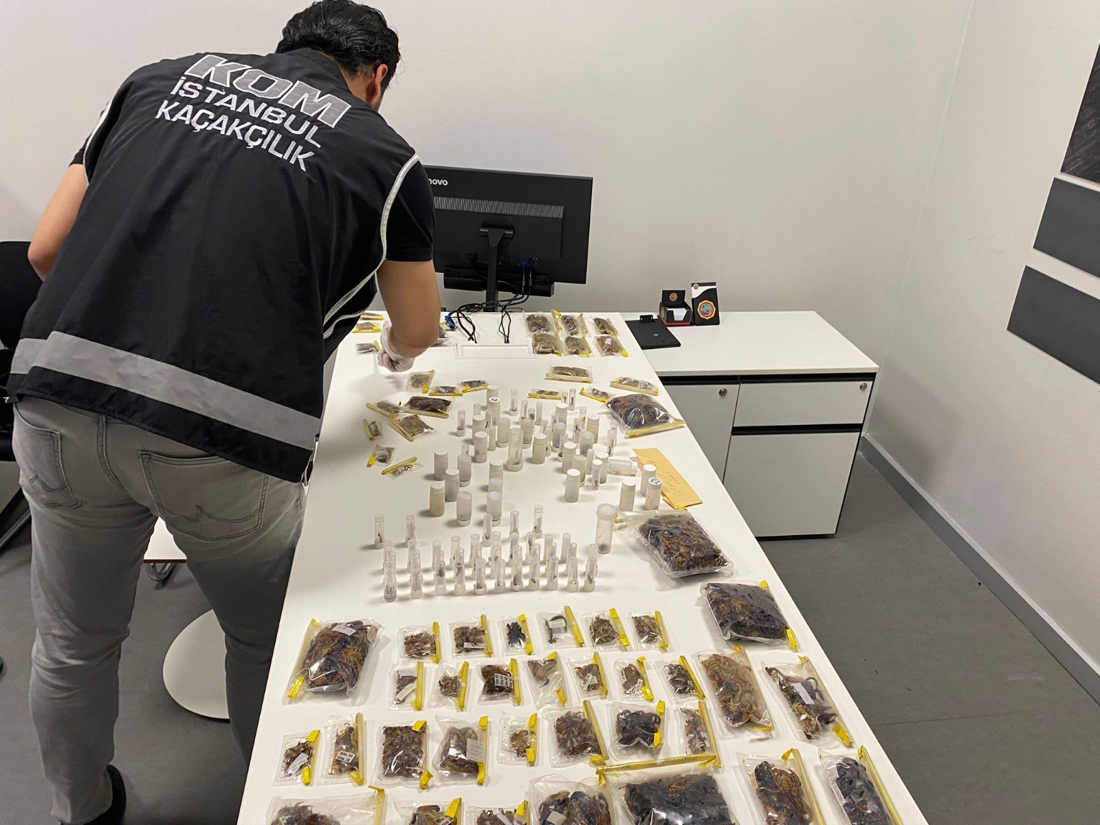 Police nab American museum director for smuggling tarantulas, scorpions from Tükiye to US