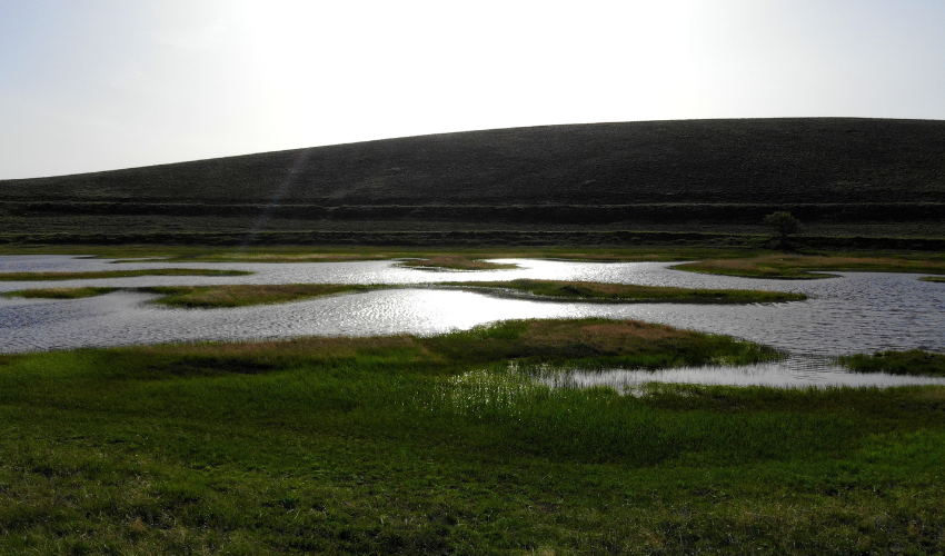 Discover the wondrous floating islands of Erzincan's Ahmetli Lake